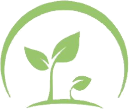 BSF SERVICE